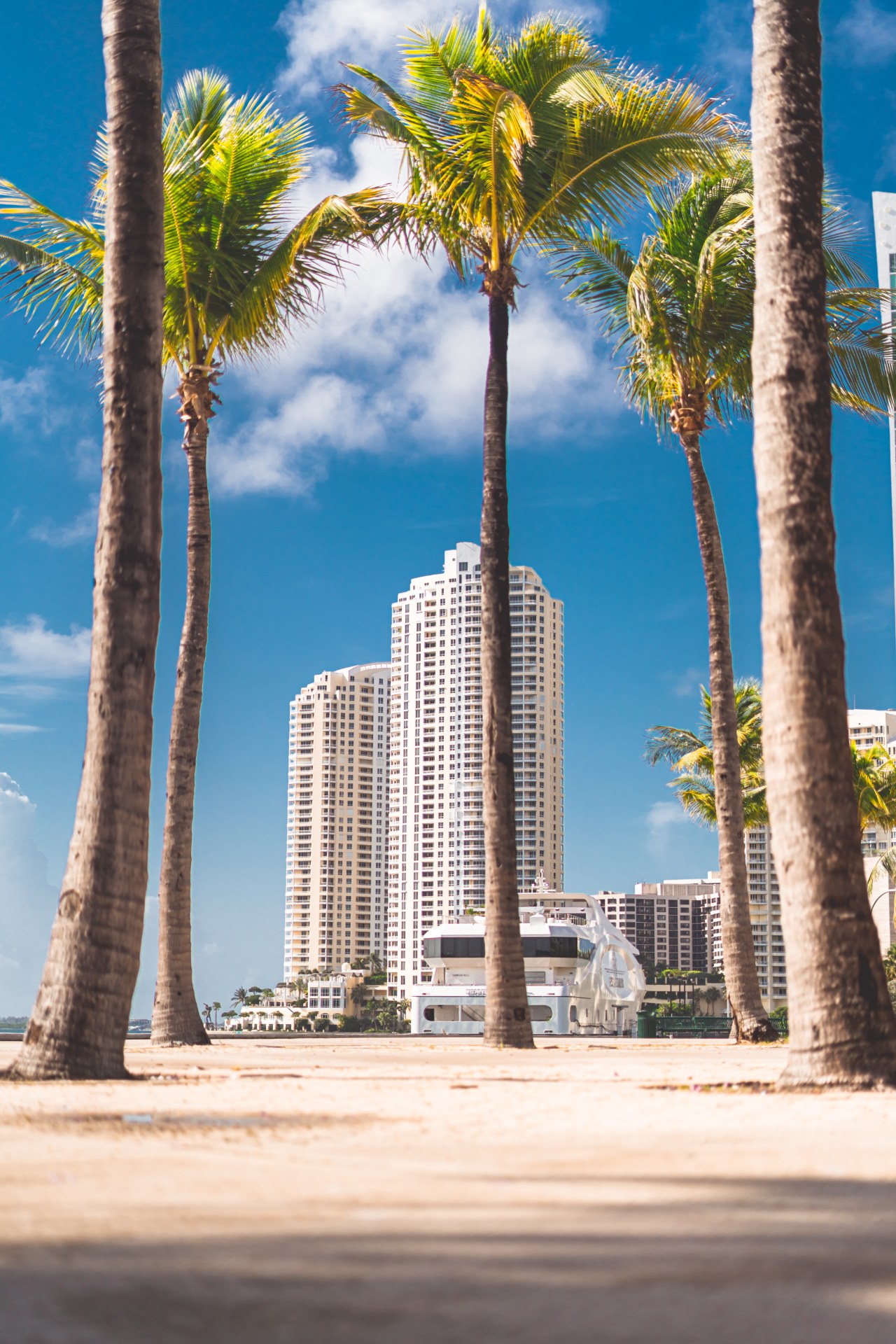 Comparing Miami to Nearby Alternatives